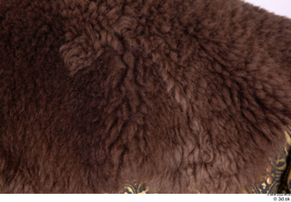 Photos Woman in Habit with fur 1 17th century Ceremonial…